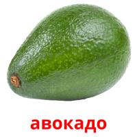 авокадо карточки энциклопедических знаний