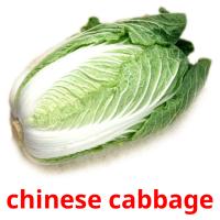 сhinese cabbage picture flashcards