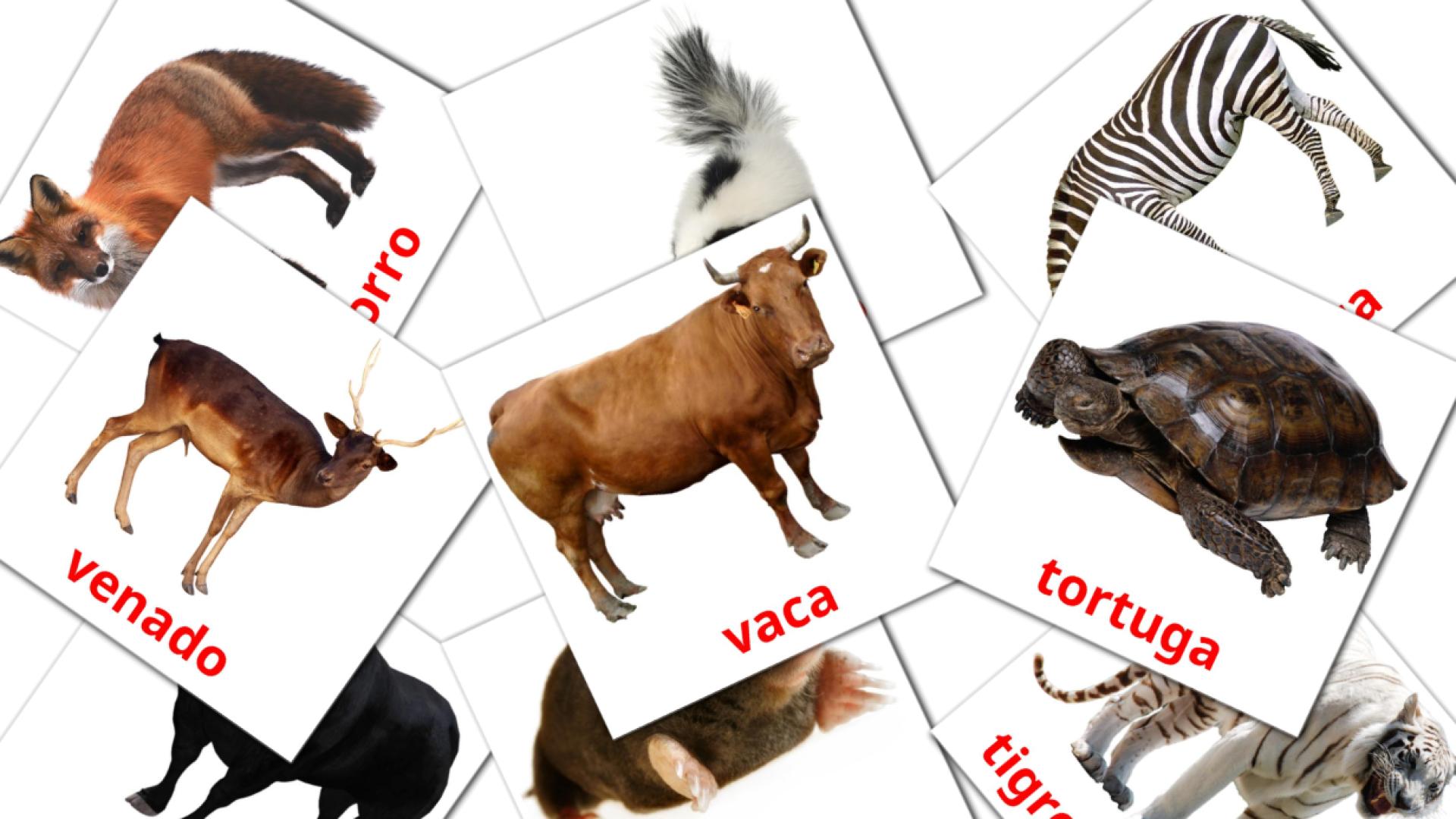 Animales Vocabulário em espanhol Flashcards