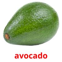 avocado picture flashcards