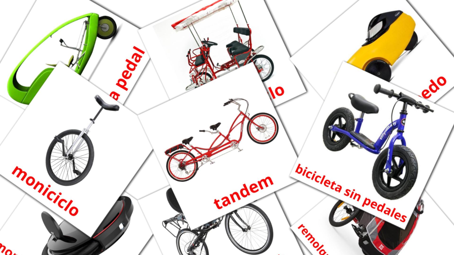 16 Transporte en Bicicleta flashcards