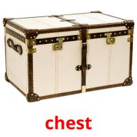 chest picture flashcards