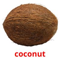 coconut picture flashcards