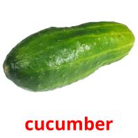 cucumber picture flashcards