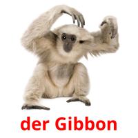 der Gibbon Bildkarteikarten