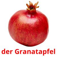 der Granatapfel Bildkarteikarten