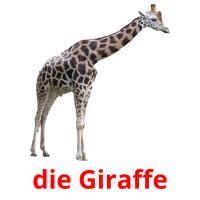 die Giraffe Bildkarteikarten