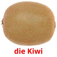 die Kiwi Bildkarteikarten