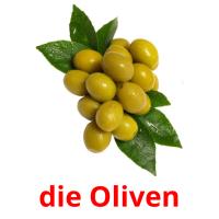 die Oliven Bildkarteikarten