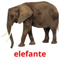 elefante cartões com imagens