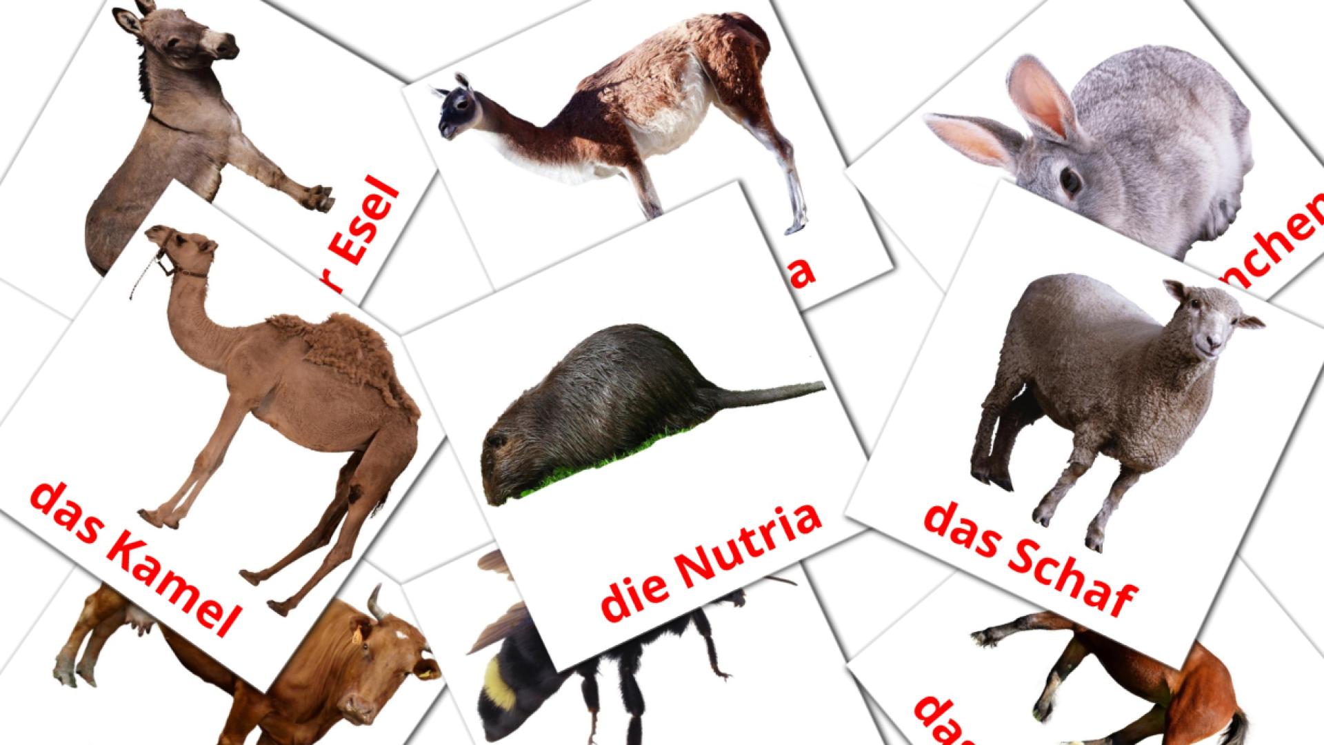 15 Карточки Домана Nutztiere