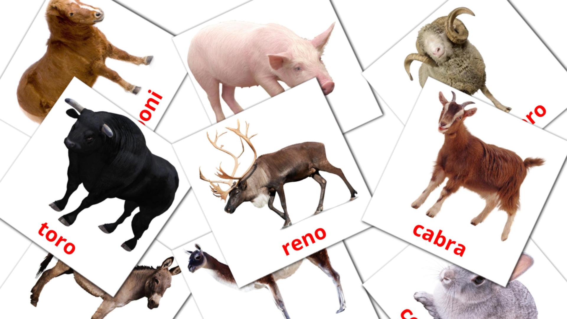15 Animales en la Granja flashcards