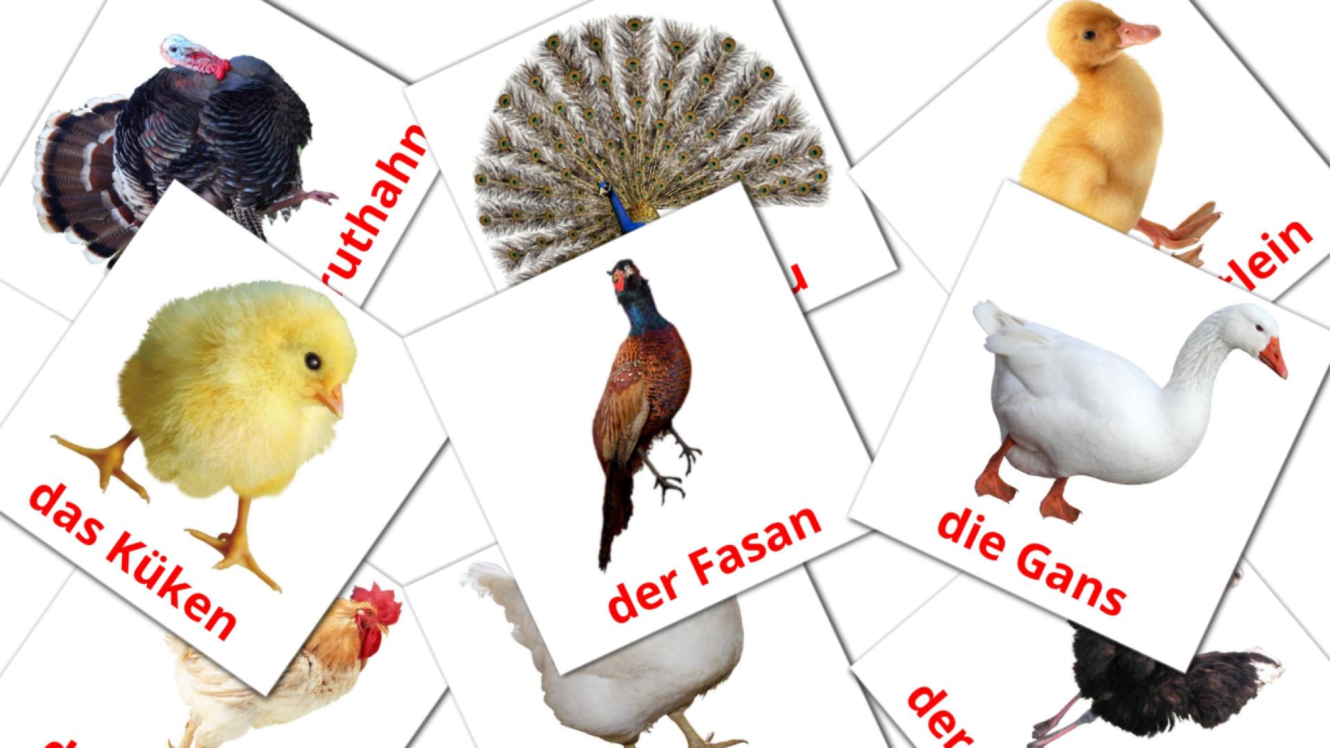 11 Flashcards de Bauernhof Vögel