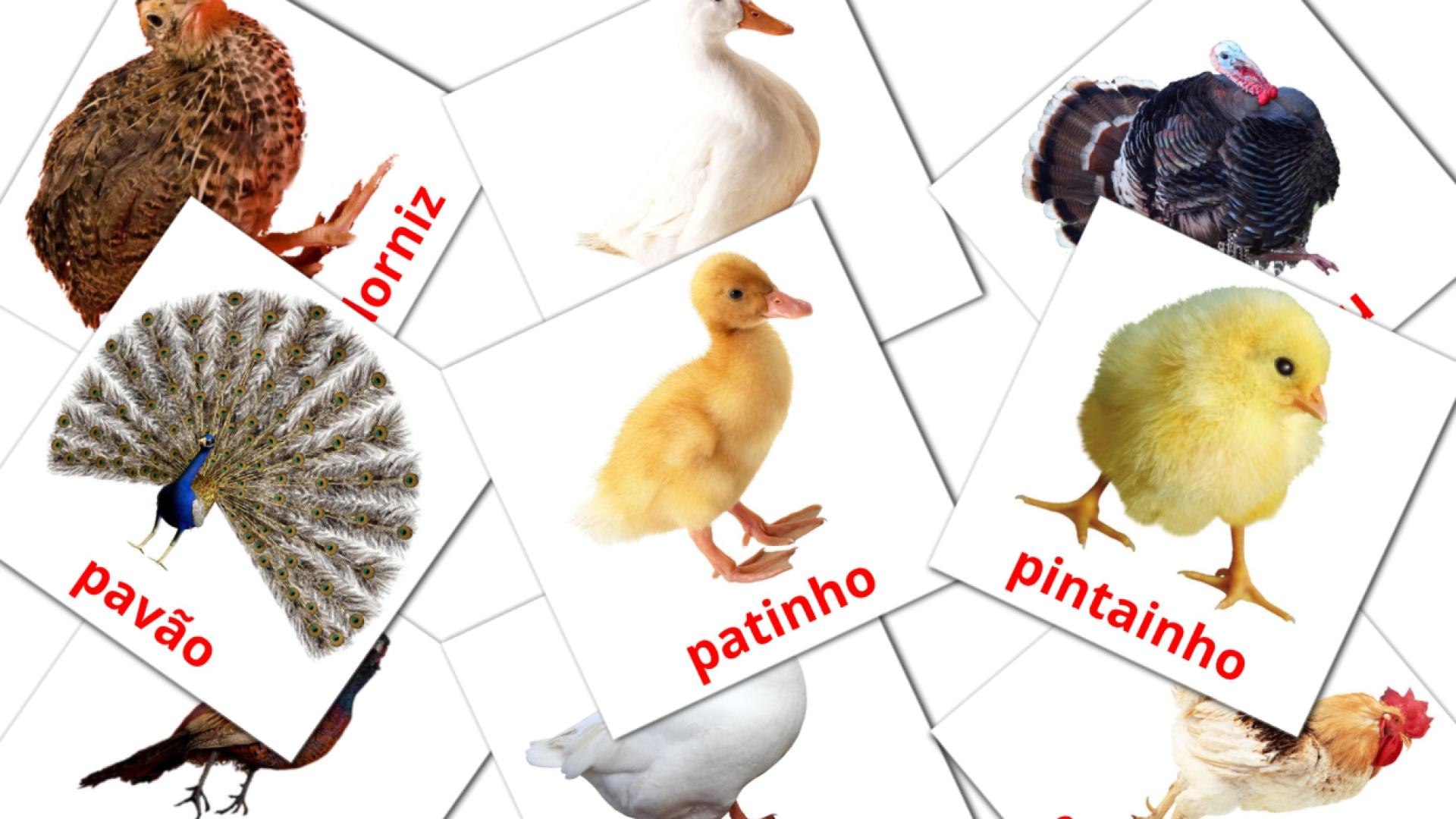 11 Flashcards de Aves da Quinta