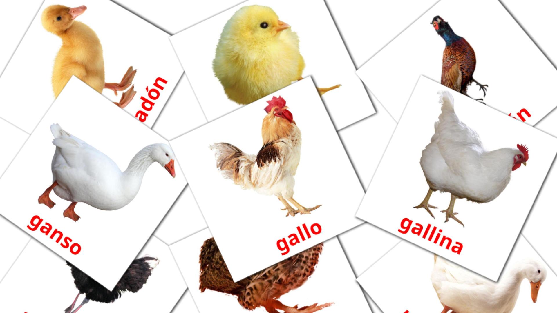 11 Flashcards de Aves de granja