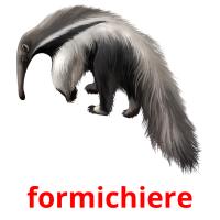 formichiere flashcards illustrate