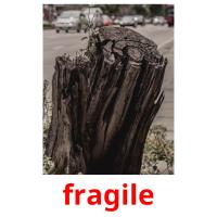 fragile picture flashcards