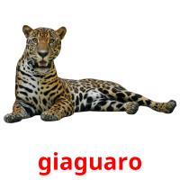 giaguaro flashcards illustrate