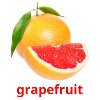grapefruit picture flashcards