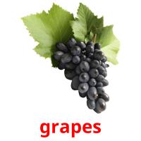 grapes picture flashcards