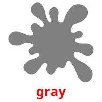 gray picture flashcards
