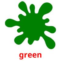 green picture flashcards