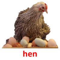 hen picture flashcards