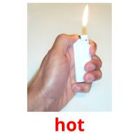hot picture flashcards