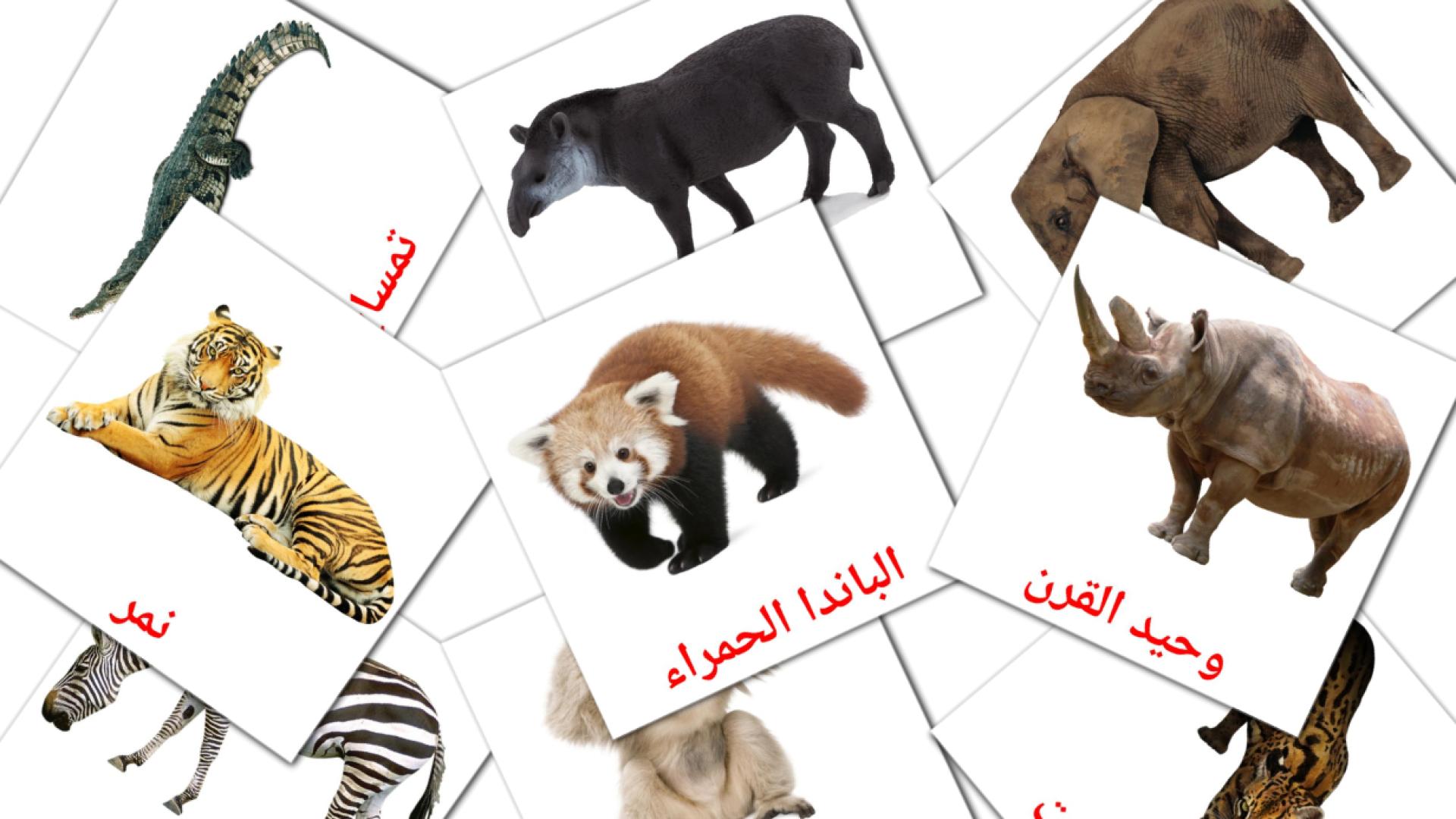 Animali della giungla - Schede di vocabolario arabo