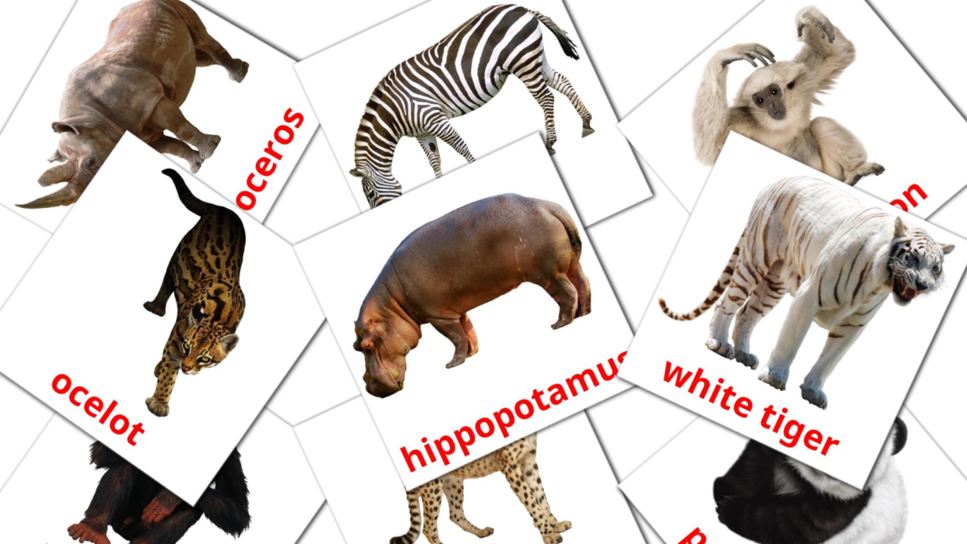 Животные африки - английский словарь картинок