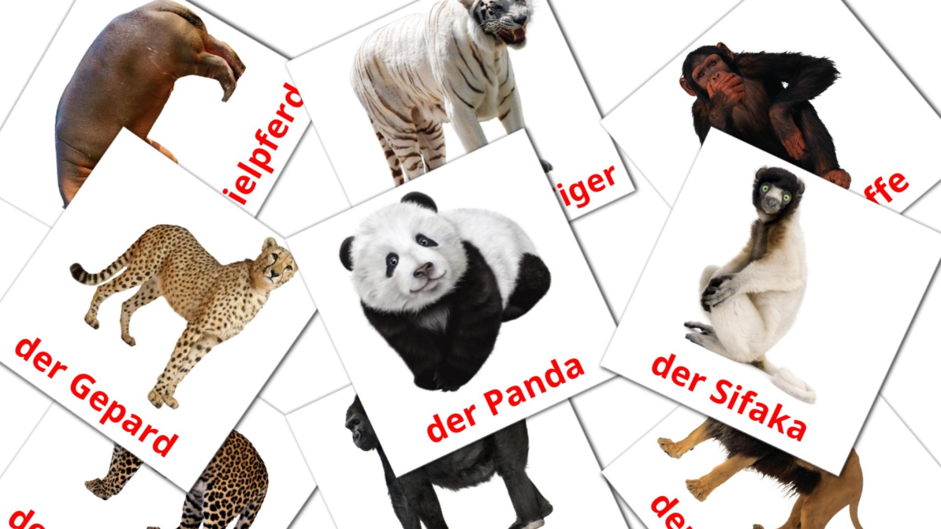 Animais da Selva - Cartões de vocabulário alemão