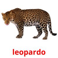 leopardo cartões com imagens
