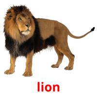 lion picture flashcards