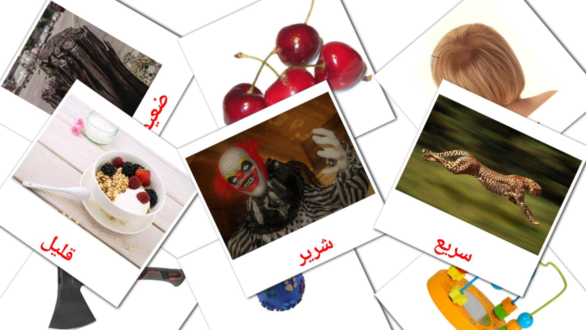 Opostos - Cartões de vocabulário árabe