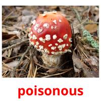 poisonous picture flashcards