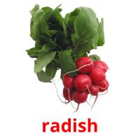 radish picture flashcards