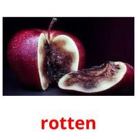 rotten picture flashcards