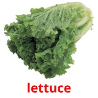 lettuce picture flashcards