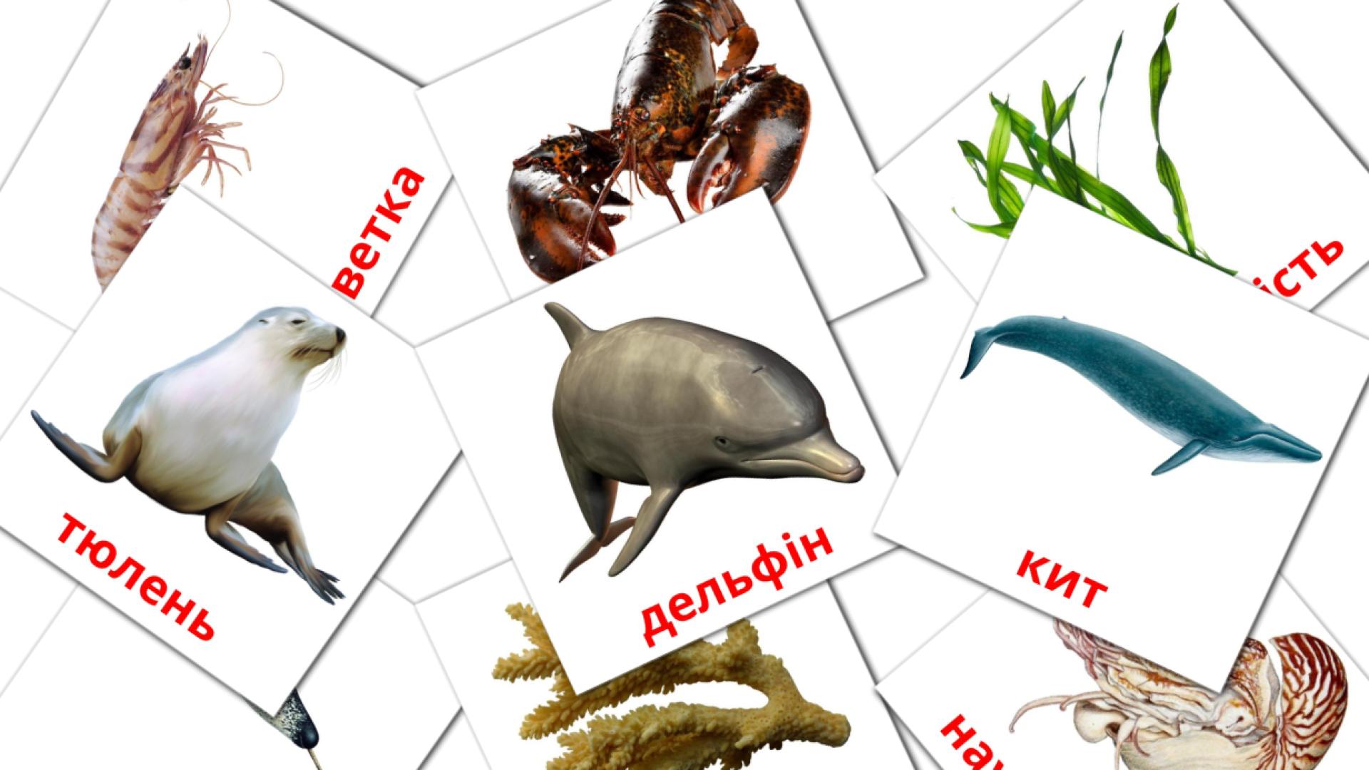 29 Карточки Домана Морські тварини
