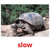 slow picture flashcards
