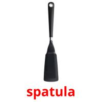 spatula picture flashcards