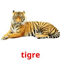 tigre cartões com imagens