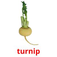 turnip picture flashcards