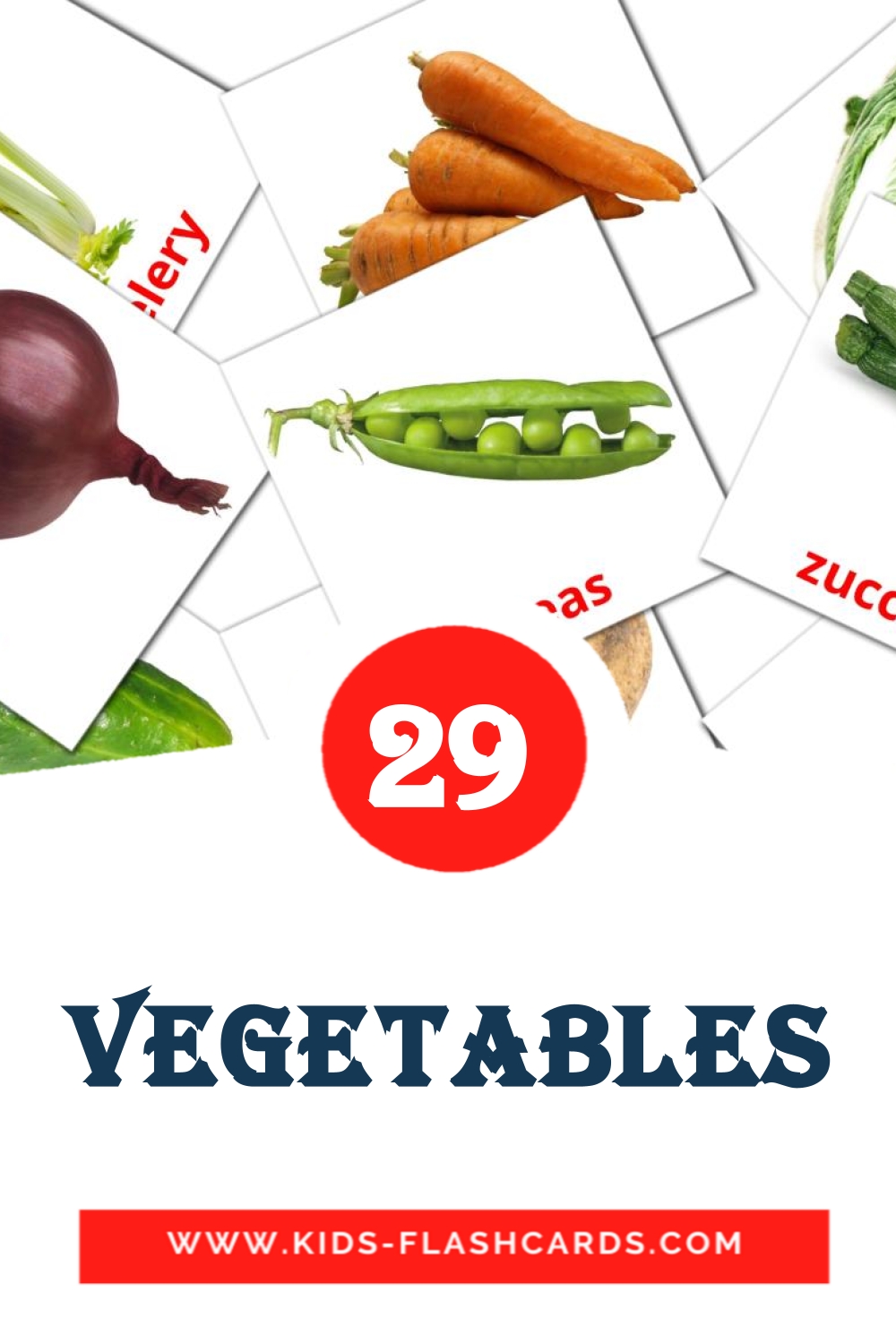 29 Vegetables Picture Cards for Kindergarden in english