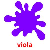 viola flashcards illustrate