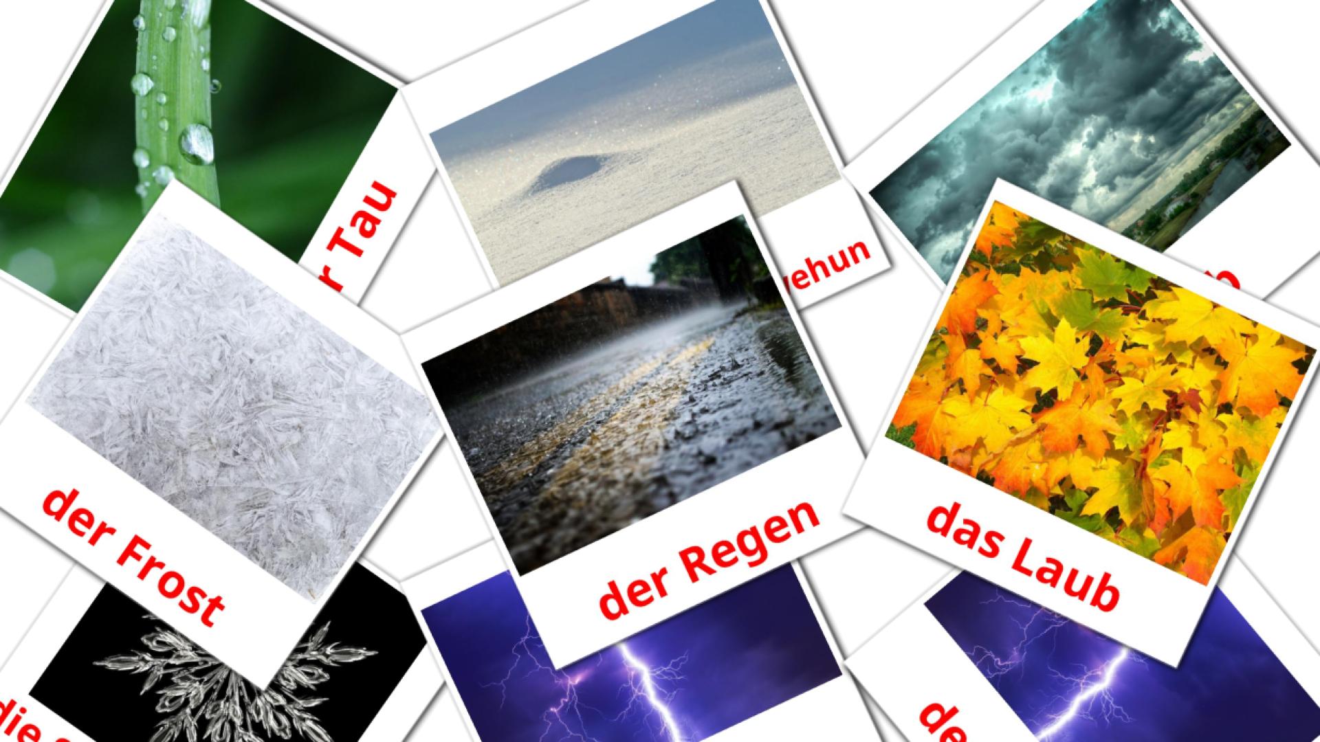 31 Flashcards de Wetter