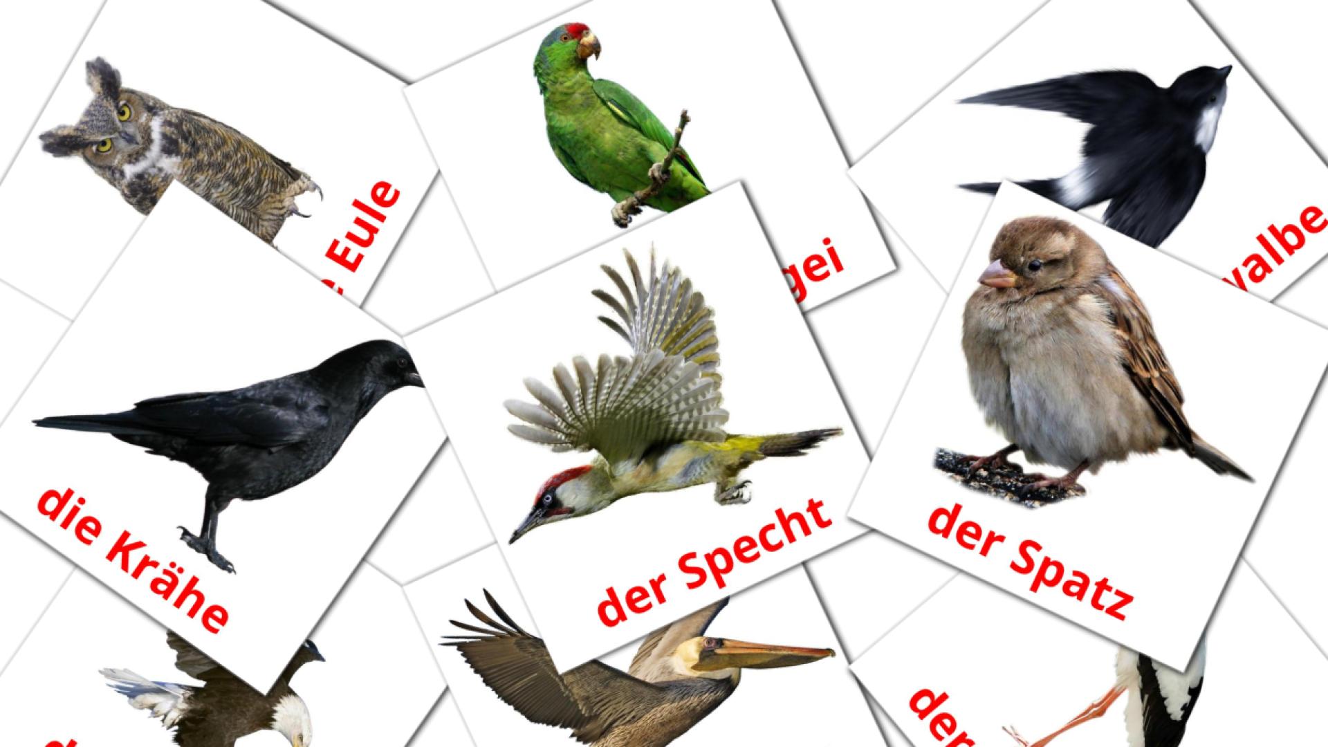 Pássaros Selvagens - Cartões de vocabulário alemão