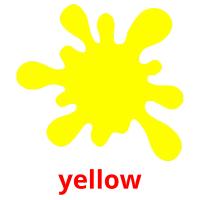 yellow picture flashcards