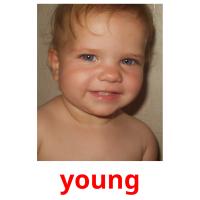 young picture flashcards