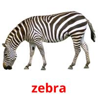 zebra cartões com imagens